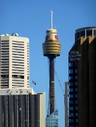 390  Sydney Tower.JPG